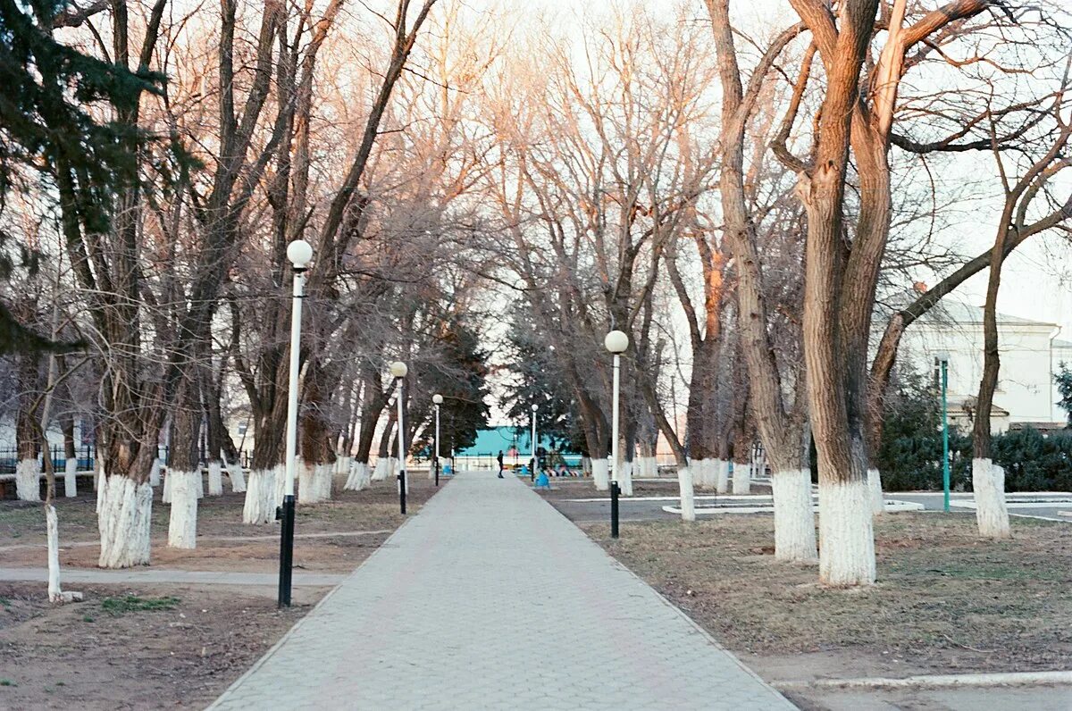 Поселок Лиман Астраханской области. Лиман Астрахань. Лиман астрахнскаяобласть. Рабочий поселок Лиман Астраханской области. Погода лиман астраханская область на 14