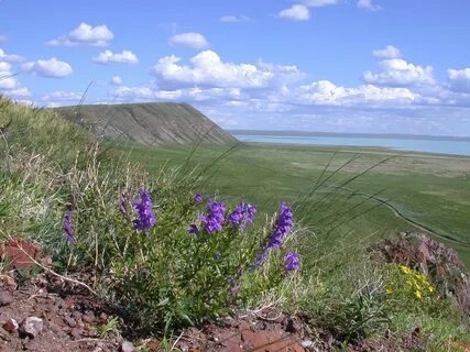 Даурия забайкальский край