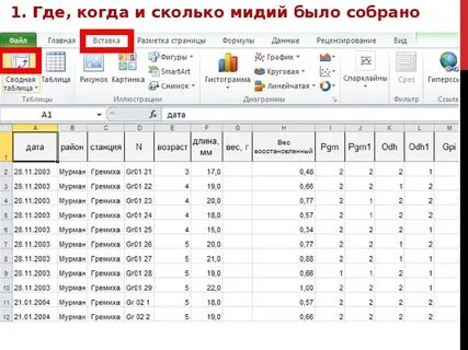 1 сводные таблицы