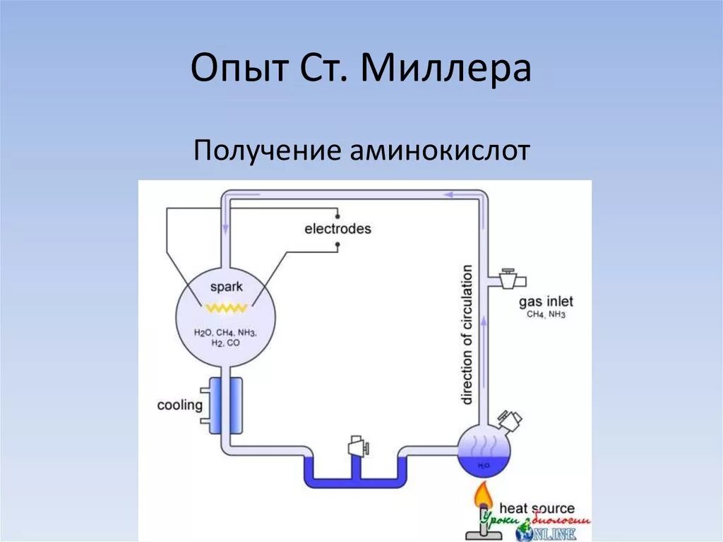 Миллер ученый биолог. Биохимическая эволюция опыт миллера. Стэнли миллер американский химик. Стэнли миллер и гарольд юри эксперимент. Миллер американский ученый.