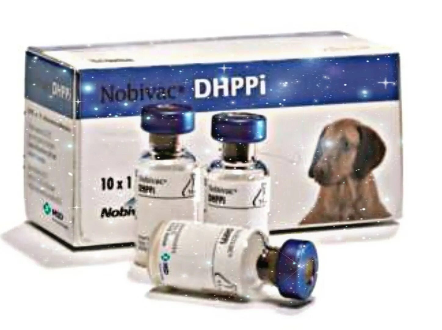 Нобивак DHPPI + L для щенков. Нобивак DHPPI RL для собак. Комплексная вакцина для собак Нобивак. Вакцина Нобивак для собак чумы.
