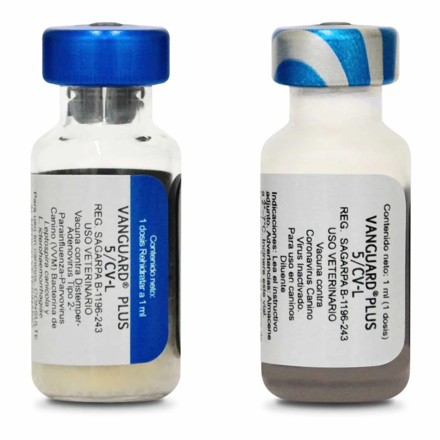 Вангард плюс 5l4cv прививка для щенков. Вангард плюс 5 l4 cv. Вангард плюс 5 l4 cv. Вангард бешенство вакцина. Вангард 5 вакцина для собак.