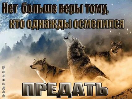 Волчье время