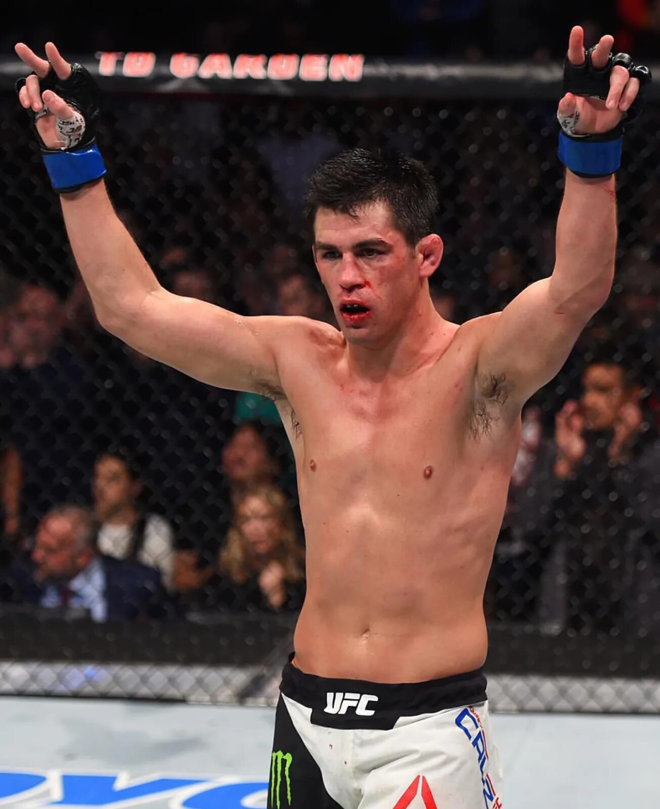 Бо круз. Доминик Круз. Боедс юефст Доминик Круз. Dominick Cruz UFC. Dominick Rojelio Cruz.