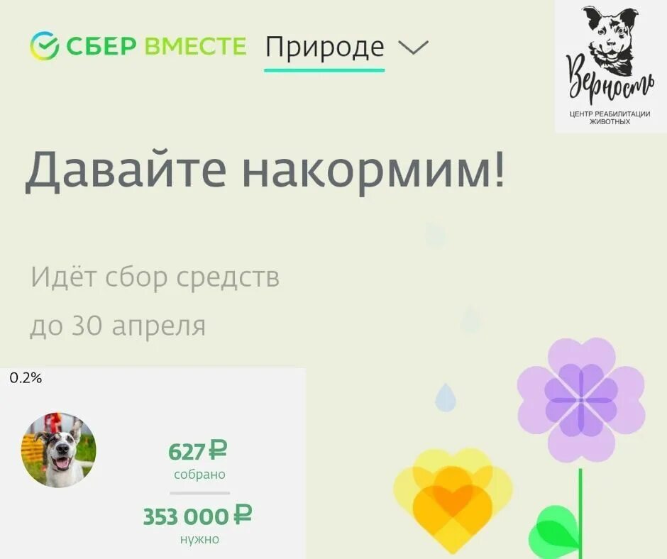 Верность центр