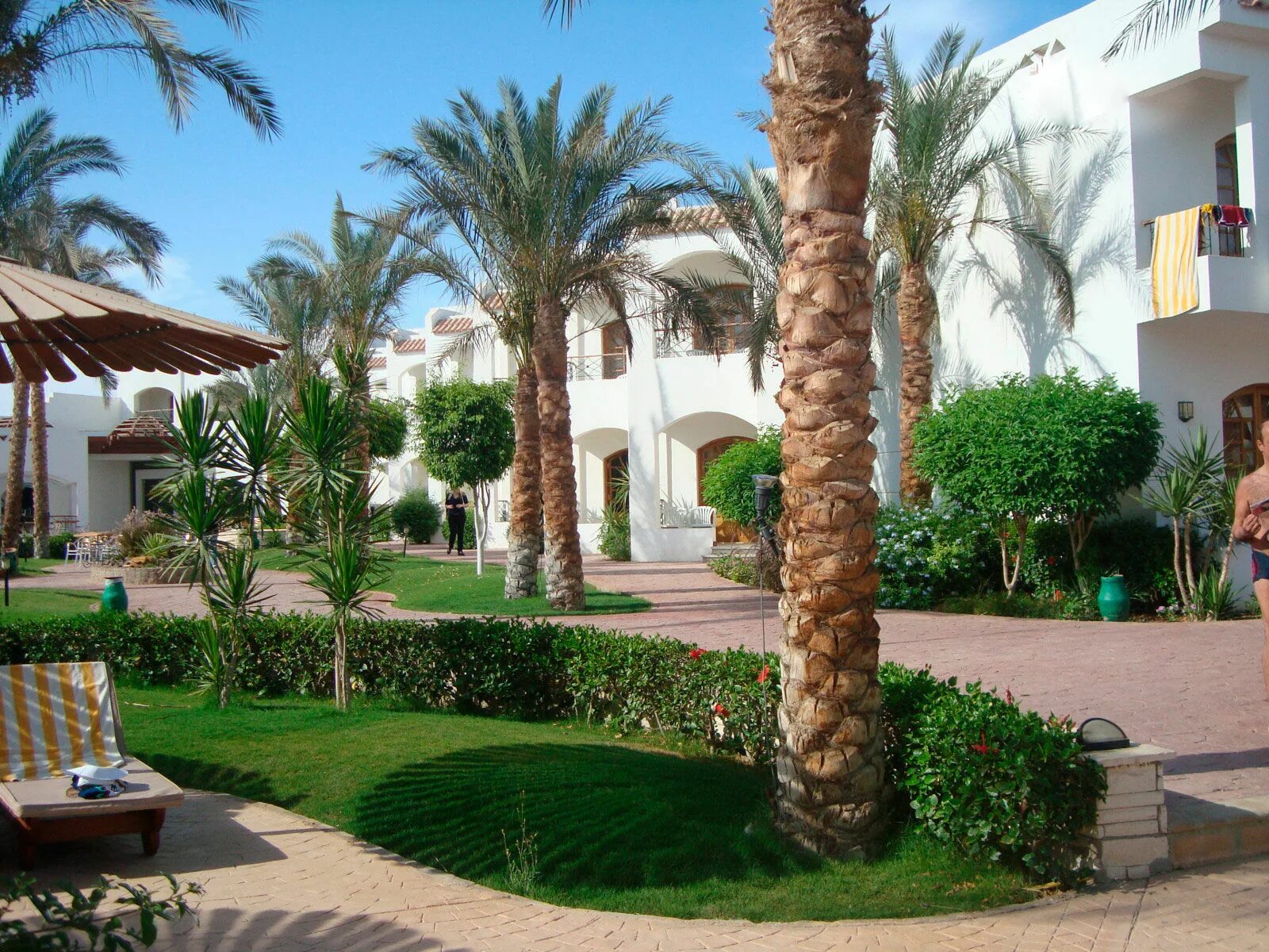 Coral hills 4. Coral Hills Resort. 4* (Хадаба). Coral Hills Resort Sharm el Sheikh 4. Coral Hills 4* (ras Umm Sid). Фото отеля Coral Hills в Шарм-Эль-Шейхе.