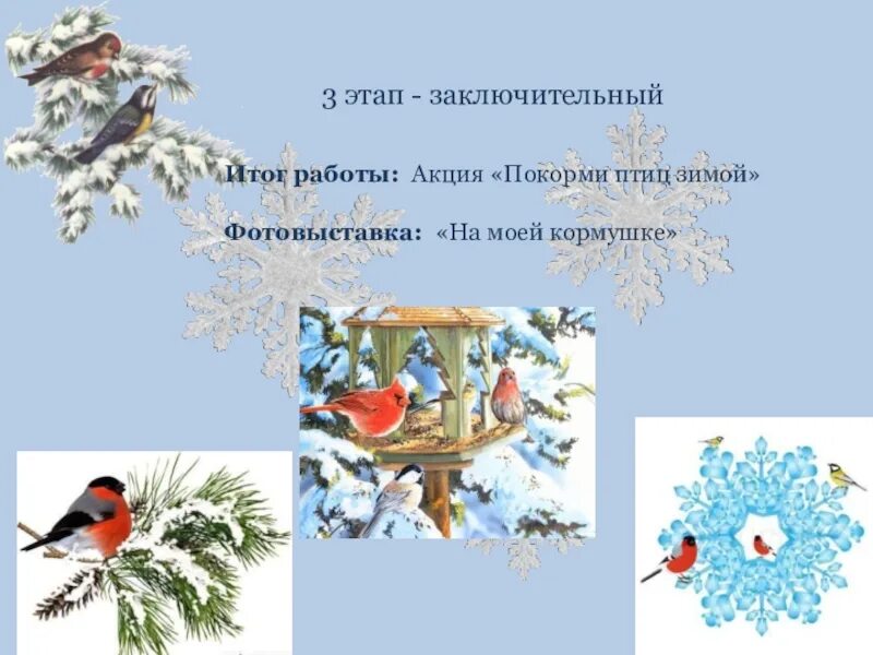 Стихотворение покормите зимой. Покормите птиц зимой. Акция Покормите птиц зимой. Фотовыставка зимующих птиц. Покормите птиц зимой стихотворение.