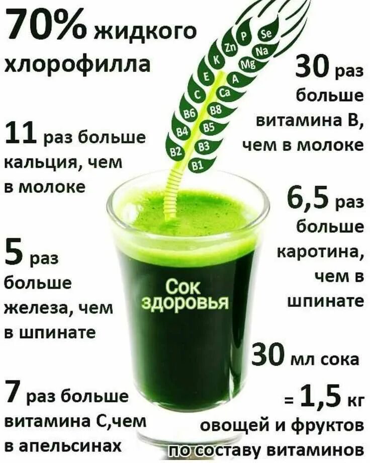 Хлорофилл содержание