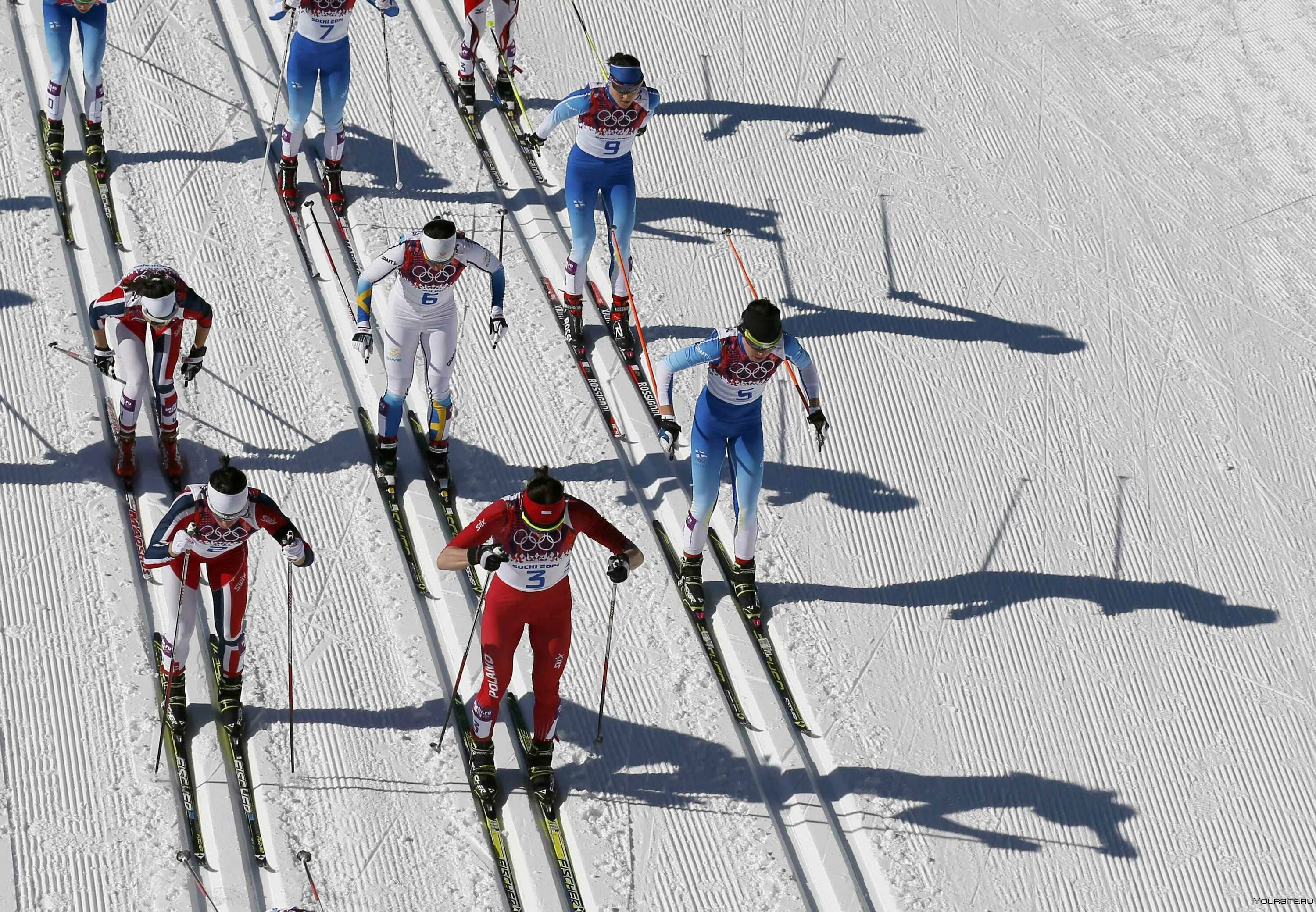 Перспективы лыжного спорта. Виды лыжного спорта. Лыжи спорт. Лыжники. Лыжи соревнования.