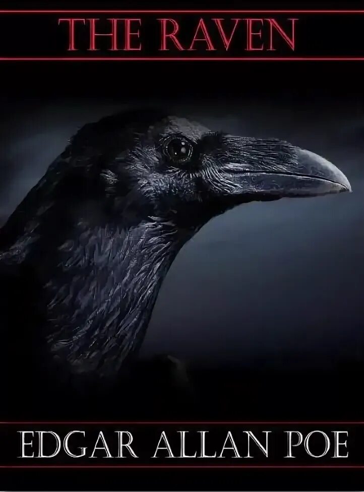 Raven poe. Edgar Allan Ravens. The Raven by Edgar Allan POE. The Raven POE. Edgar Allan Raven book.