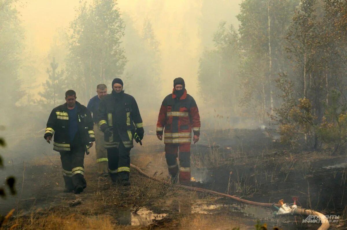 В рязани сгорел. Лесные пожары в Рязанской области 2022. Лесные пожары в Рязанской области в 2022 году. Пожар фото. Тушение лесных пожаров.