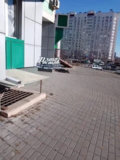 Еременко 29