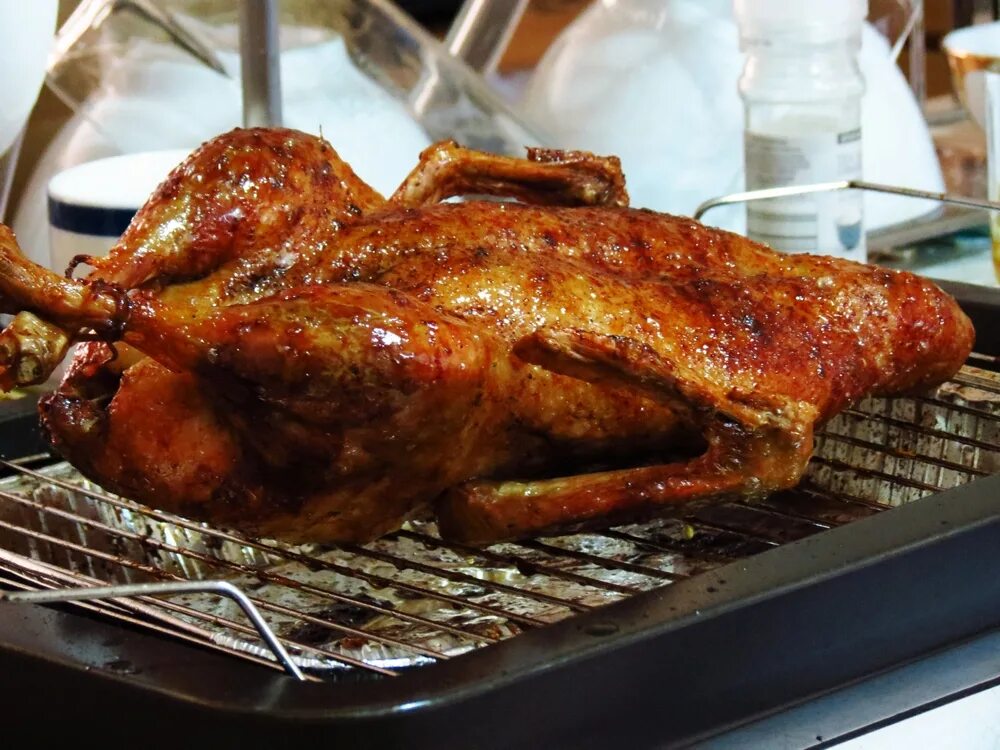 гусь фаршированный с айвой. при какой температуре запекать утку в духовке. утка по домашнему. утка в духовом шкафу. утка запеченная в духовке целиком.