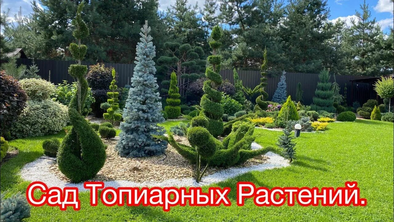 Мой сад башкортостан. Мой любимый сад. Мой сад новости. Мой сад новости. Сад у моей соседей.
