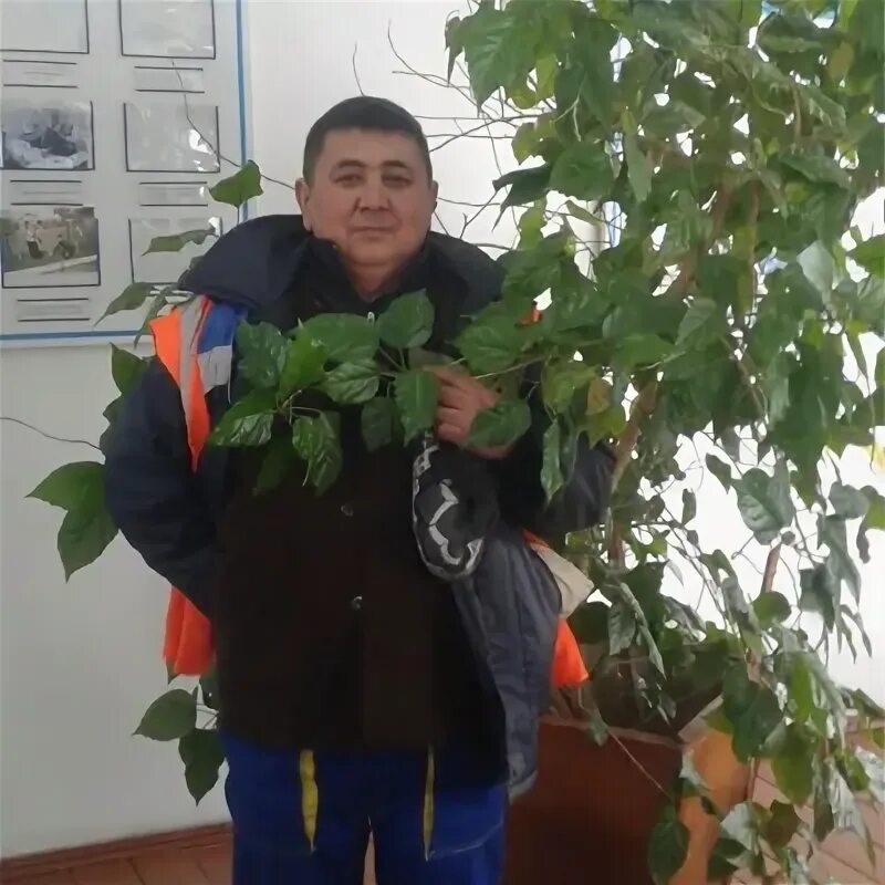 Мананов. Мананов