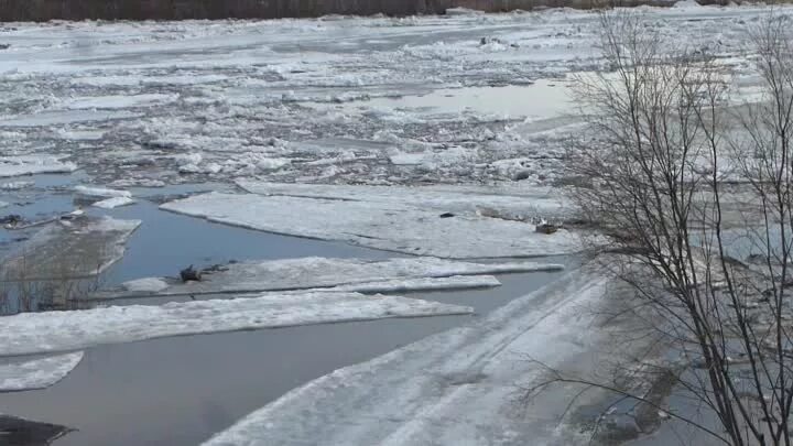 Уровень воды в чумыше сегодня тальменка. Чумыш Заринск. Мартыново река Чумыш. Заринск р Чумыш. Река Аламбай Алтайский край рыбалка.