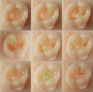 Публикация #8581 - Анатомический театр (AAAAAEyV1dfyyFw3zSRu0g)