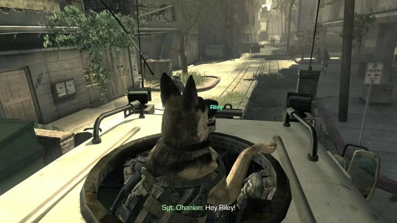 Как пройти в call of duty. Собака райли из call of duty ghost. райли собака call of duty. собака райли из call of duty. call of duty 4 modern warfare собаки.