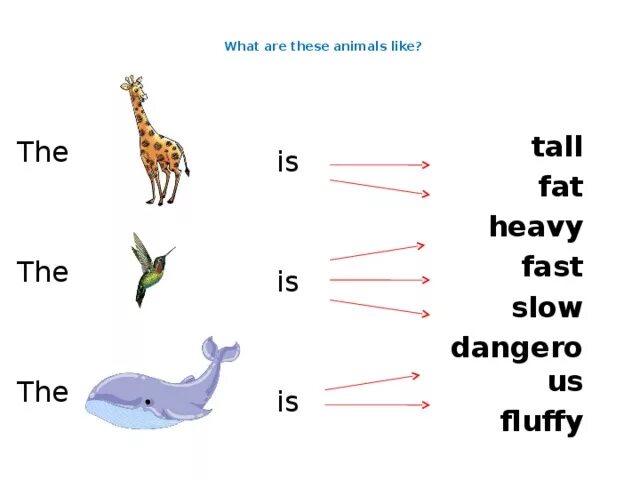 Do they like animals. Like animals. Animals i like. What animal do you like? I like. Move like an animal.