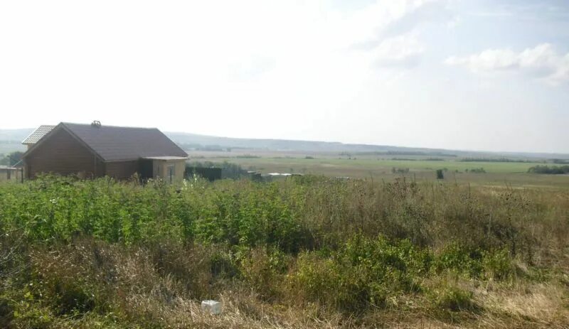 Агрофирма рыльская курская область. Зао аф. Зерноуборочный комбайн tucano 580 l47110. Спк дружба ирбитский район. Зао аф.