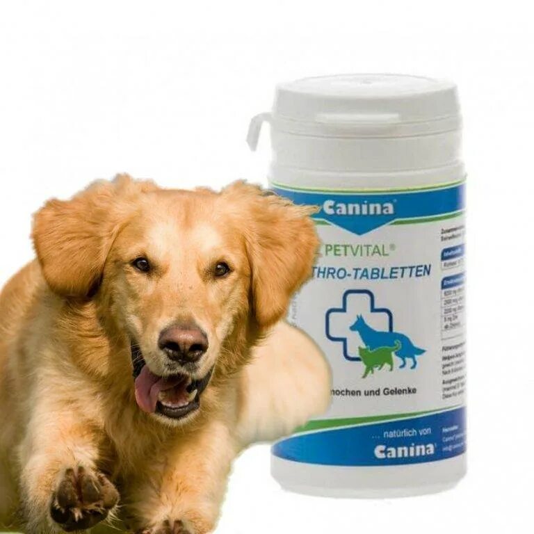 Витамины Canina для щенков. Canina для суставов собак. Витамины для собак для суставов Canina. Канин витамины для суставов собак. Купить canina собак