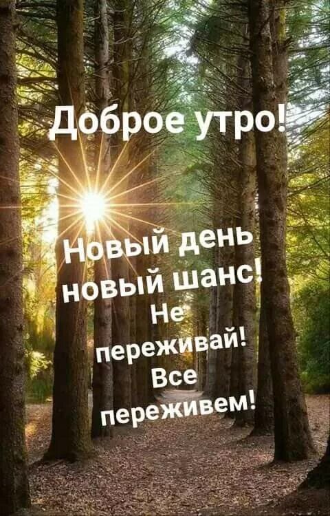 Доброе утро с мудрыми надписями. Афоризмы про утро. Умные фразы с добрым утром. Афоризмы нового дня. Мудрые цитаты с добрым утром.