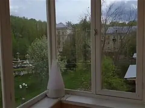 Циан глазов. Циан глазов