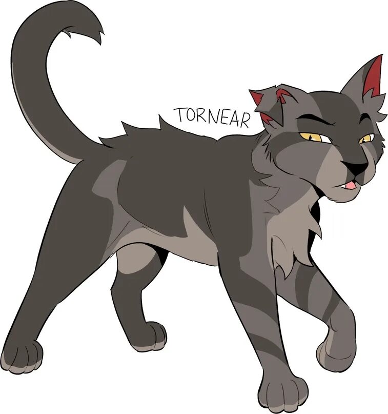 Коты Воители Корноух. Корноух кв. Острозубка кв арты. Ursiday Graystripe. Благородный воитель 37 вк