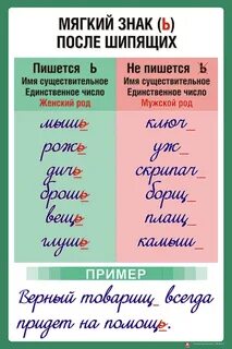Род прилагательного во множественном числе как определить