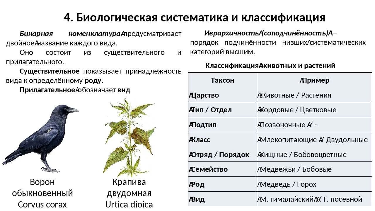 Сравнение 2 птиц. Бинарная номенклатура животных. Видовые названия растений и животных. Бинарная номенклатура примеры животных. Примеры бинарной номенклатуры растений.