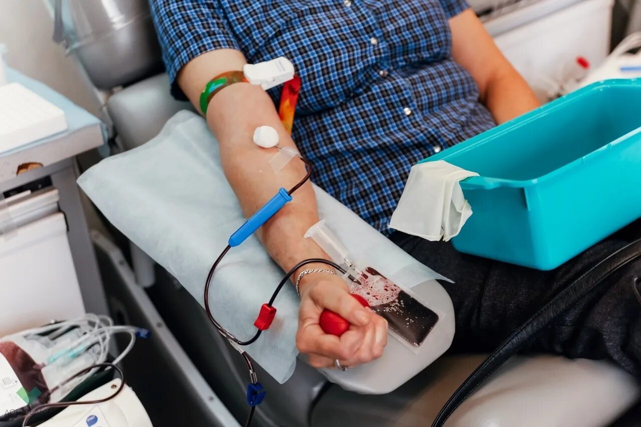 Неделя доноров крови. Сдача крови. Донорство крови. День донора.