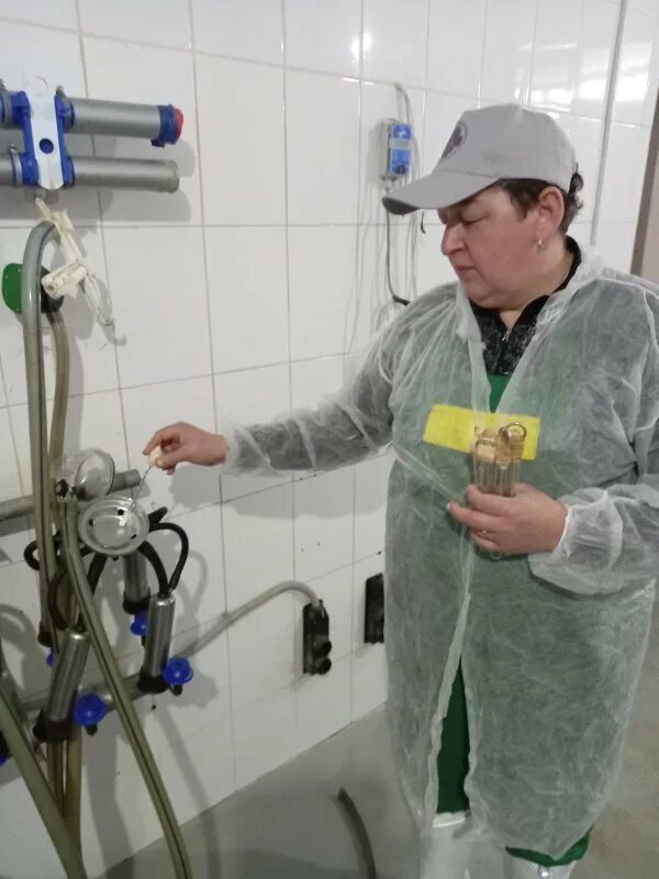 Истринская ветеринарная станция. Ветеринарная станция кинешма. Истринская ветеринарная станция. Животные истры. Ветлечебница.