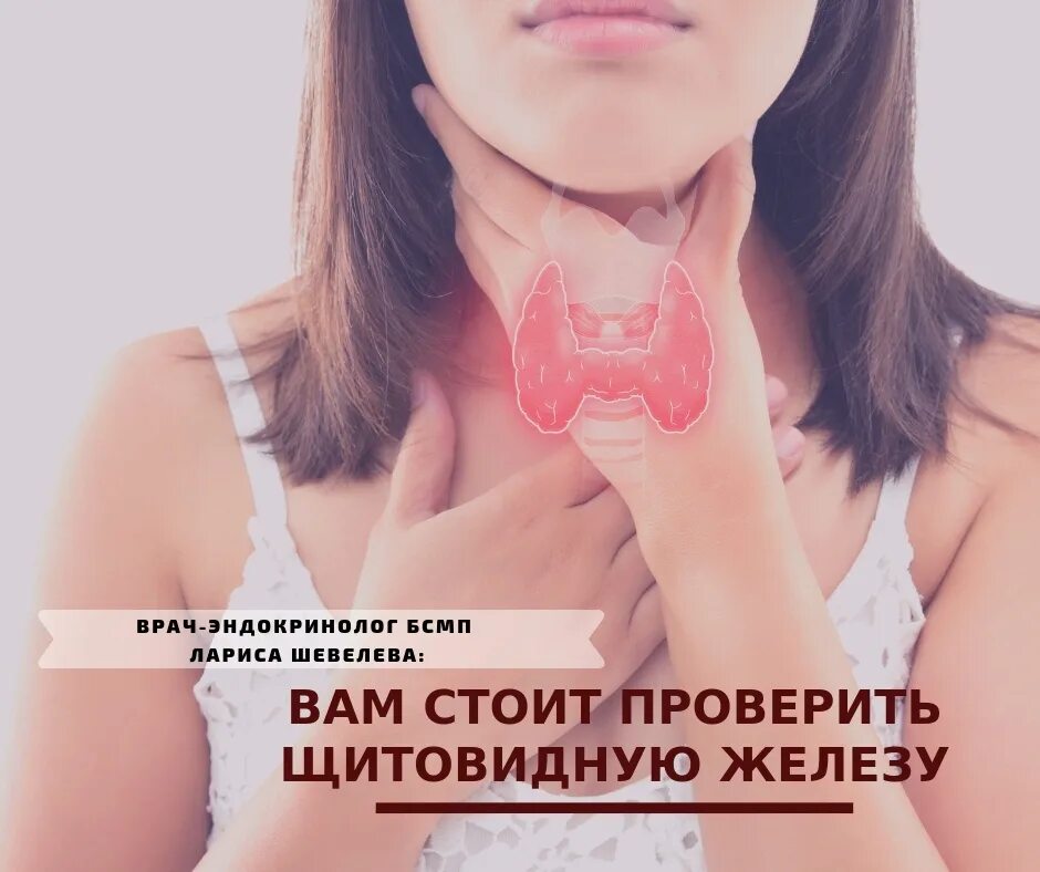 Симптомы эндокринных заболеваний. Thyroid щитовидная железа. Щитовидная железа анатомия. Эндокринолог щитовидная железа отзывы. Прием эндокринолога.