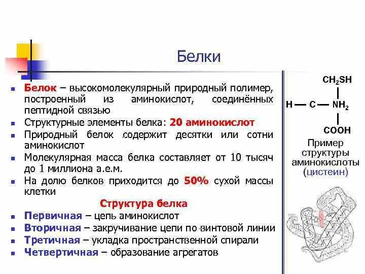 Белковый элемент. Белки природные полимеры. Белки как природные полимеры. Природные белки примеры. Элементы белков.