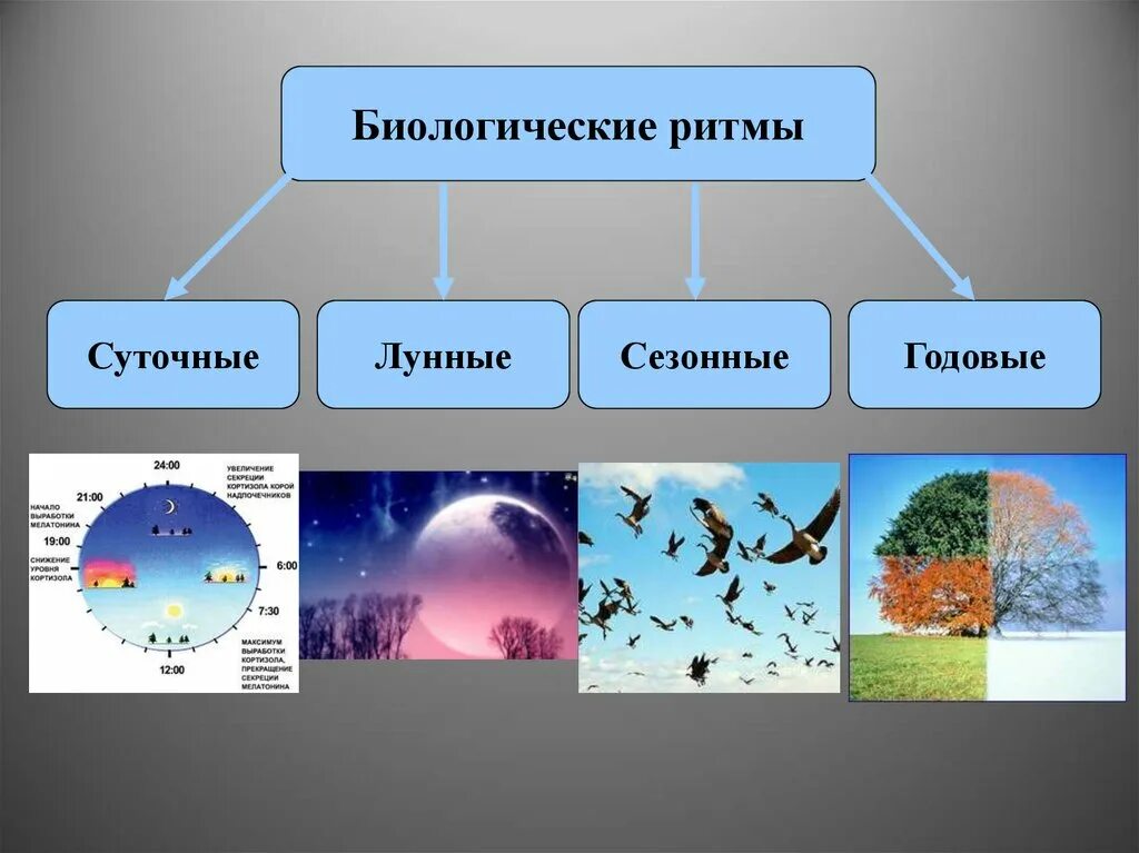 22 декабря сезонные изменения