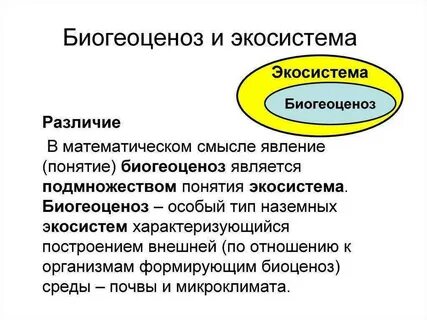 Чем отличается биогеоценоз от экосистемы