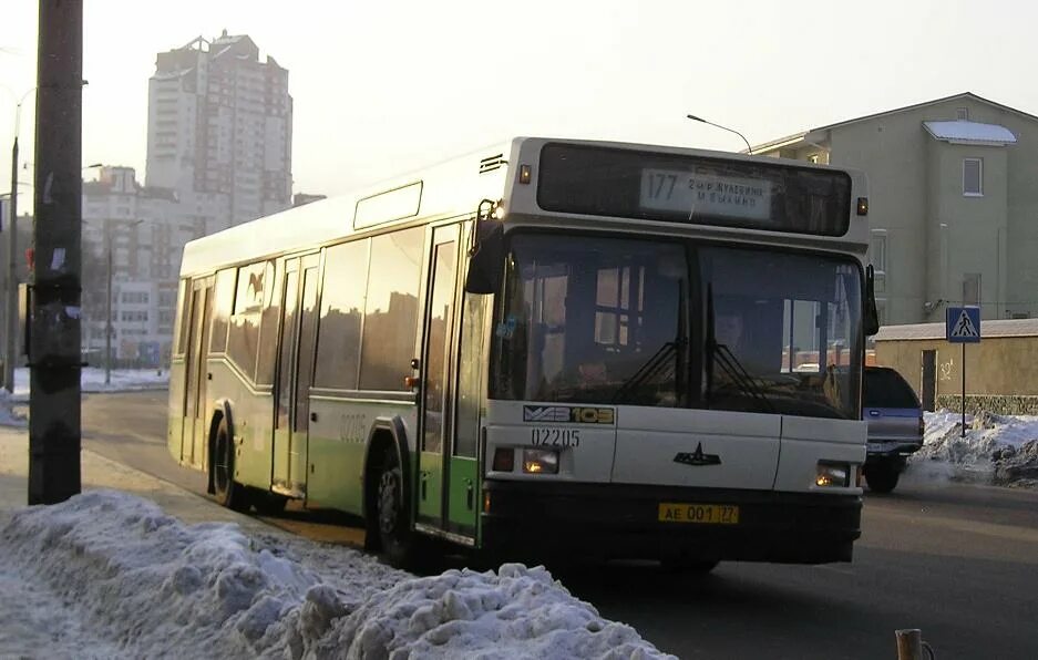 Автобус 2л кронштадт. Расписание 175 автобуса кронштадт ломоносов. 175 маршрутка ломоносов кронштадт. Автобус кронштадт ломоносов. Автобус 2л кронштадт.