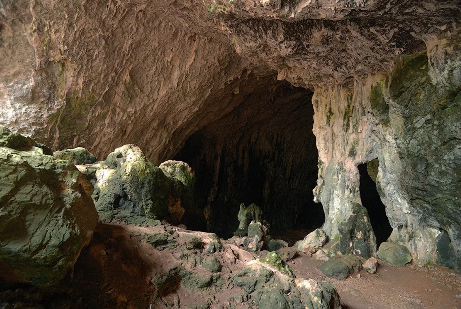 Пещера шондонг вьетнам. Пещера со сталактитами. Пещеры х. Пещеры х. Пещера шондонг.