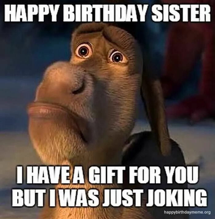 Счастливый осел из Шрека. Sisters Мем. Happy Birthday funny meme. Birthday me funny. Funny sister