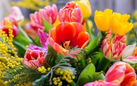 Всех женщин с праздником весны, Цветов красивых, ароматных. 
