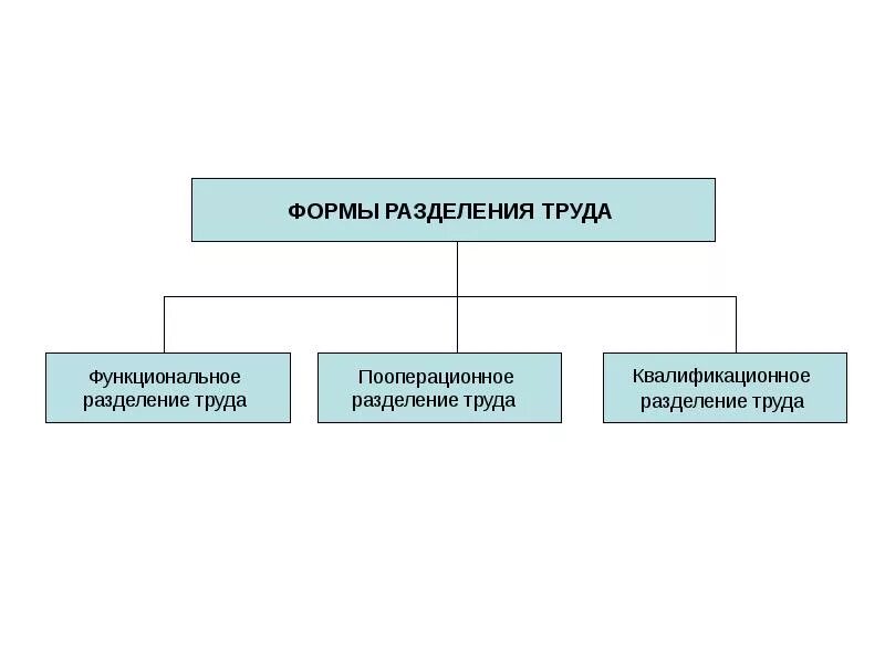 Какова роль разделения. Три вида разделения труда. Форм разделения труда в системе управления. Перечислите формы разделения труда.