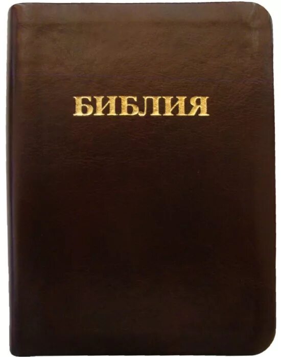 Библейское общество. Библия издание. Библия российское Библейское общество. Библия 1876 года. Библия новое издание.