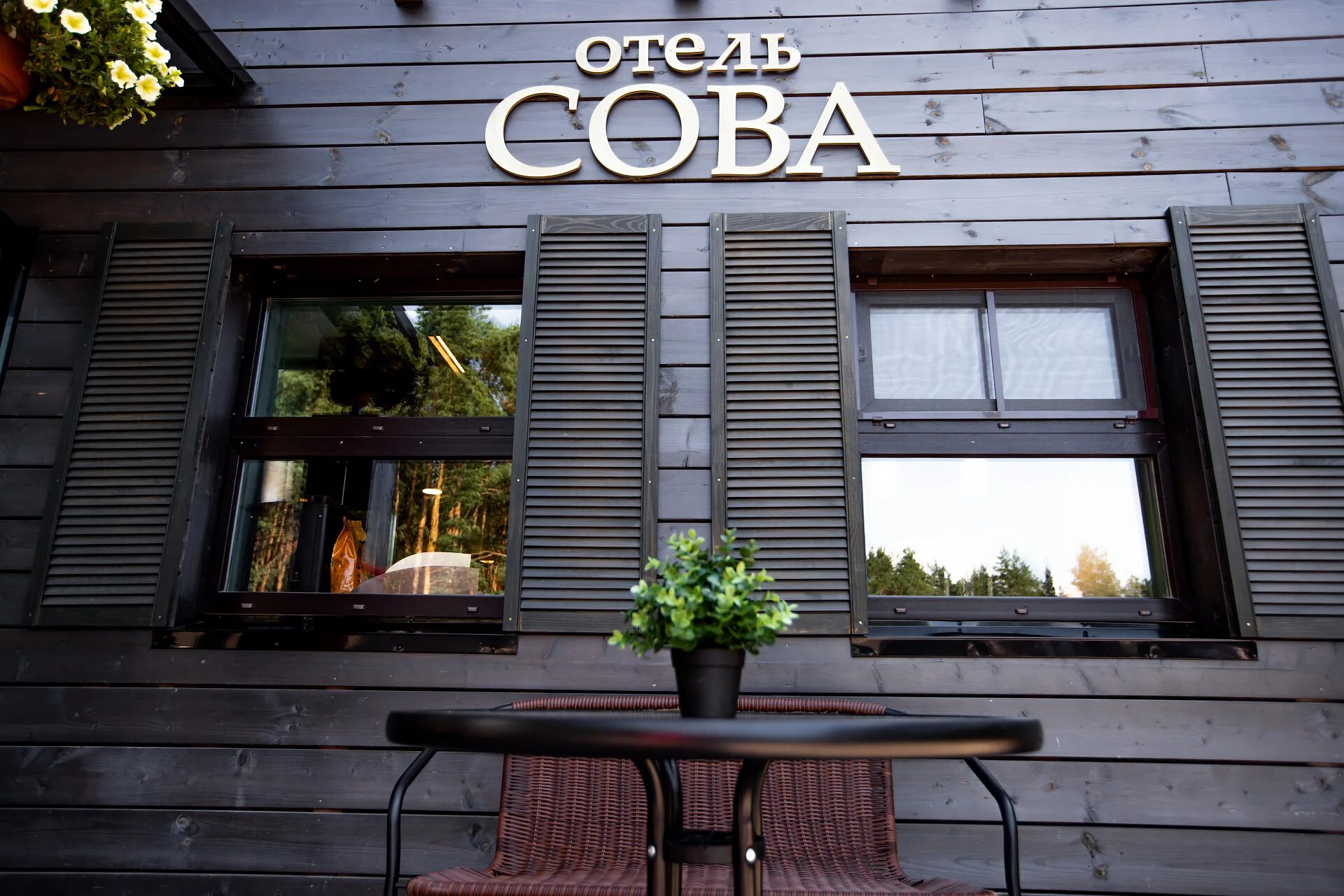 Гостиница сова печоры. Отель сова печоры фото. Бутик-отель амурассо. Отель сова печоры. Сова печоры.