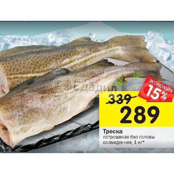 треска потрашенная б/г. рыбная лавка мурманск. треска стоимость за 1 кг. треска филе без кожи без кости 350г с/м лойны. треска в магазине.