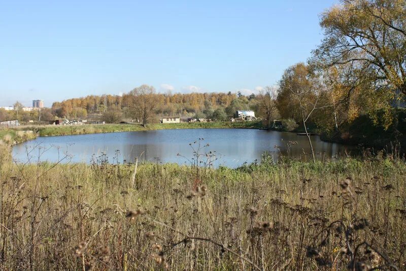 Площадь западного троекуровского пруда. Парк усадьба Троекурово. Западный Троекуровский пруд. Троекуровские пруды в Москве. Восточный Троекуровский пруд.