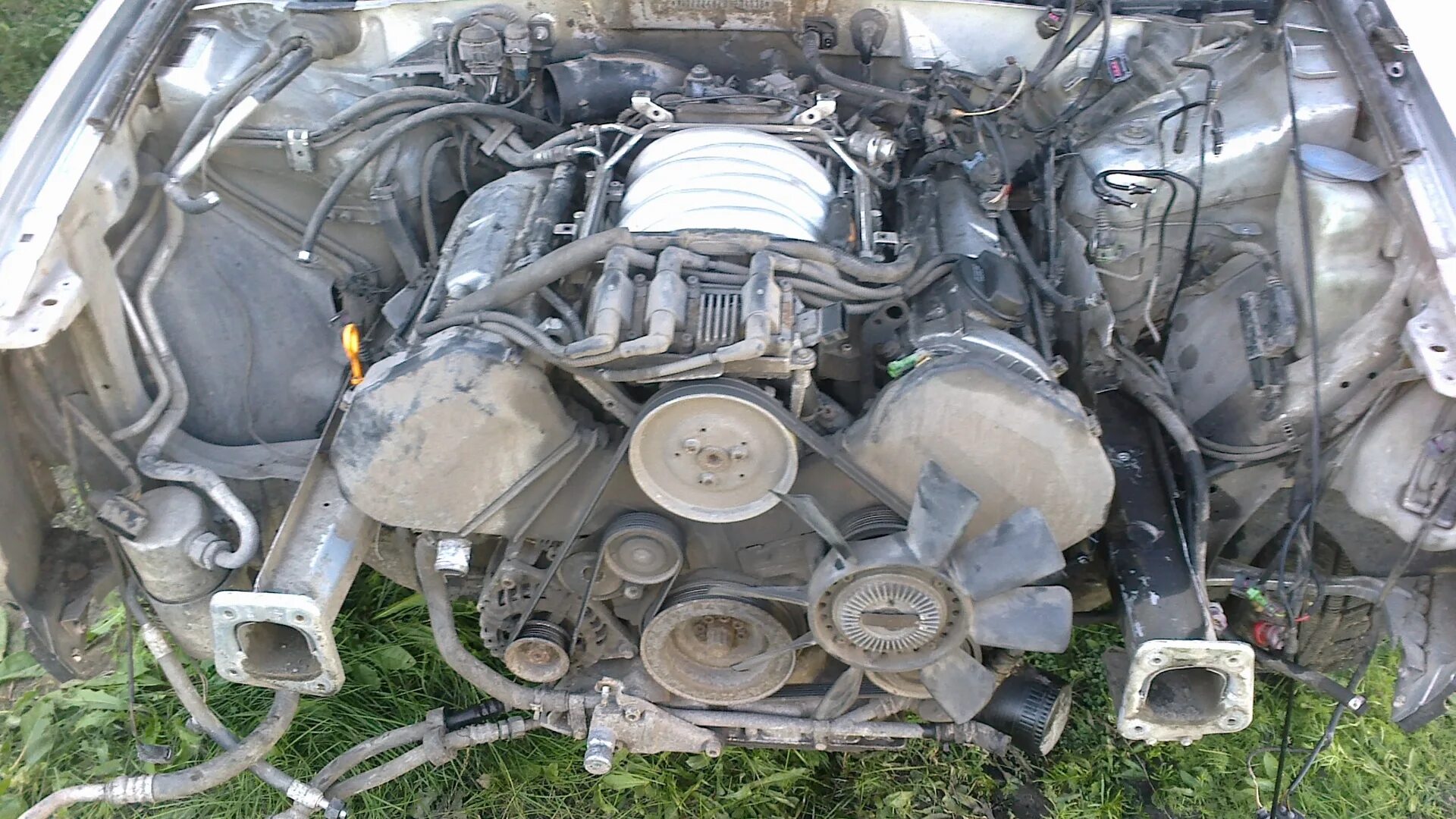 А6 с5 моторы. Двигатель Ауди а6 с5 2.4. Мотор Ауди 2.4 165 л. Ауди а6 мотор 2.4 1998. Audi a6 c5 двигатель 2.4 Alf.