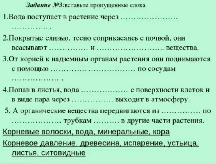 Вставьте пропущенные слова атмосфера. Покрытые слизью тесно соприкасаясь с почвой они всасывают. Вставь пропущенные слова по биологии 6 класс. Вставь пропущенные слова с помощью растения.