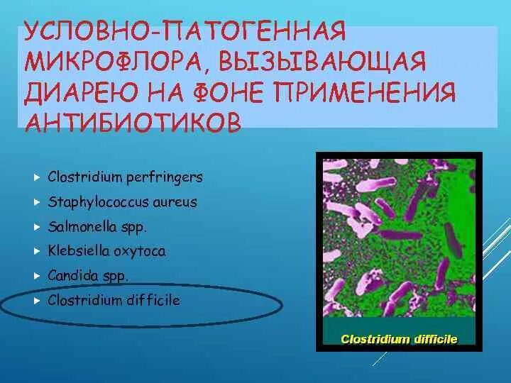 Условно патогенная микрофлора это. Условно патогенная микрофлора. Что такое условная патогенная микрофлора. Патогенная и условно-патогенная микрофлора.