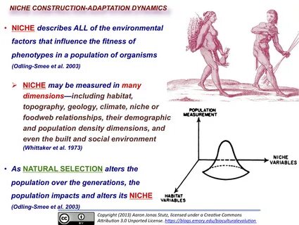 Human defining