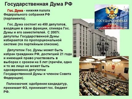 Из какого числа депутатов состоит государственная дума